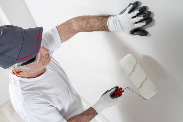 Best Attic Mold Removal  in Kimball, TN