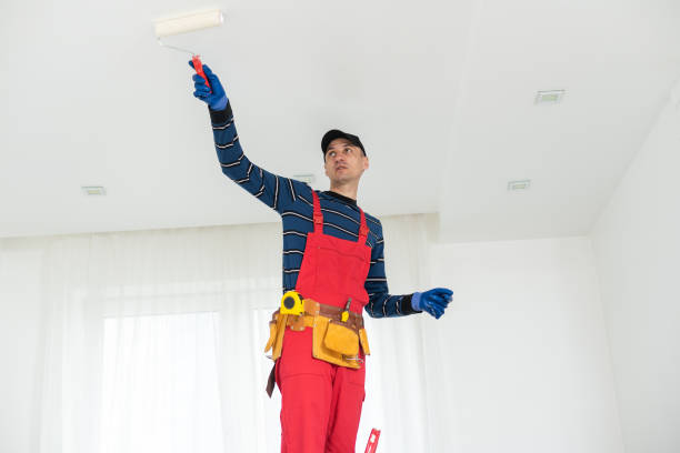 Trusted Kimball, TN Mold Removal Experts